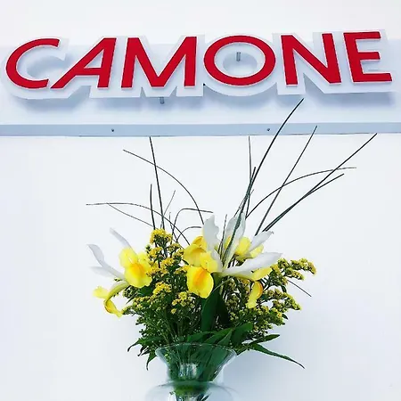 Camone Apartamento Апартаменты